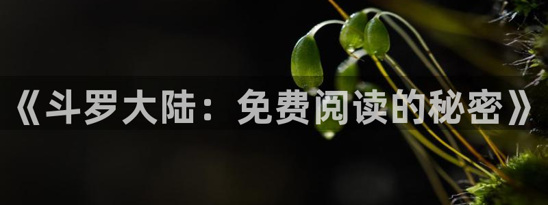 香蕉漫画下载