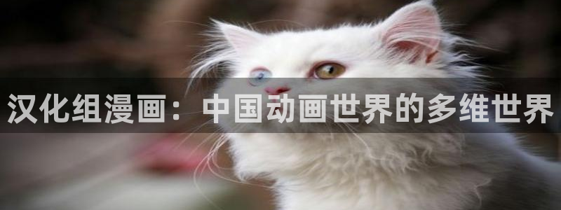 香蕉漫画网站入口