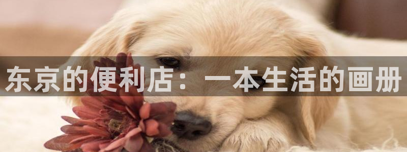 香蕉文化漫画书阅读下拉式：东京的便利店：一本生活的画册