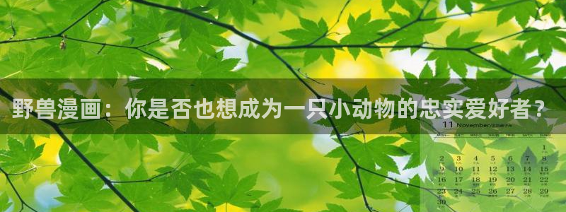 香蕉漫画小说：野兽漫画：你是否也想成为一只小动物的忠实爱好者？