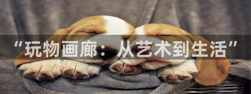 香蕉漫画免费漫画