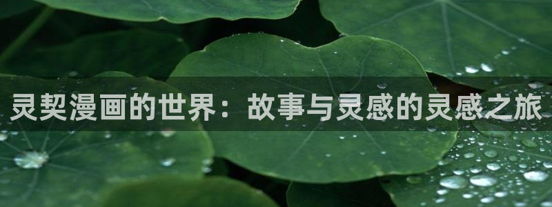 香蕉文化__小说漫画