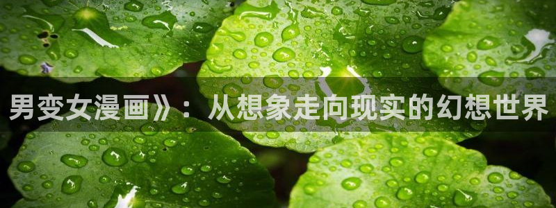香蕉文化漫画书免费阅读平台网页