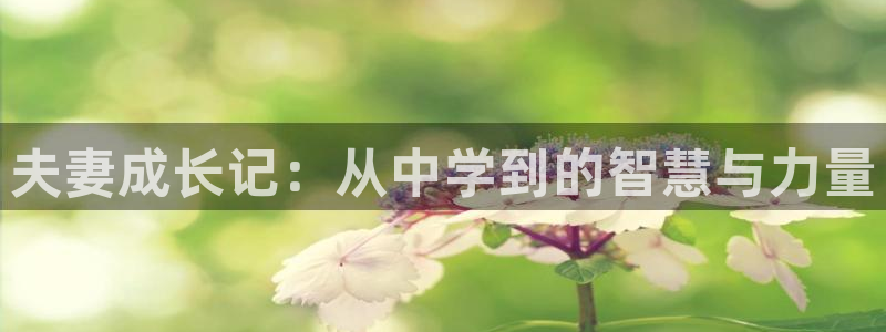香蕉文化漫画是免费