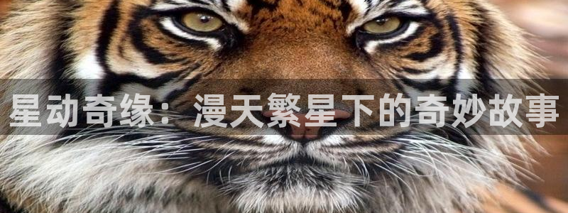 香蕉漫画图片