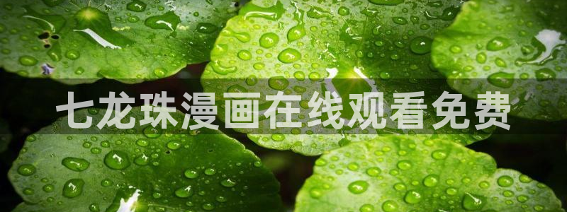 91香蕉漫画免费破解版：七龙珠漫画在线观看免费